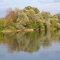 Rheinfahrt_4